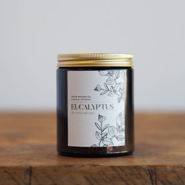 Eucalyptus of Tollymore - Soy Candle