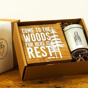 Into The Woods Candle Gift Box | The Bearded Candle Makers