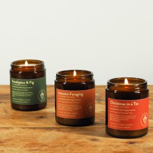 The Seasonal Collection - soy candles